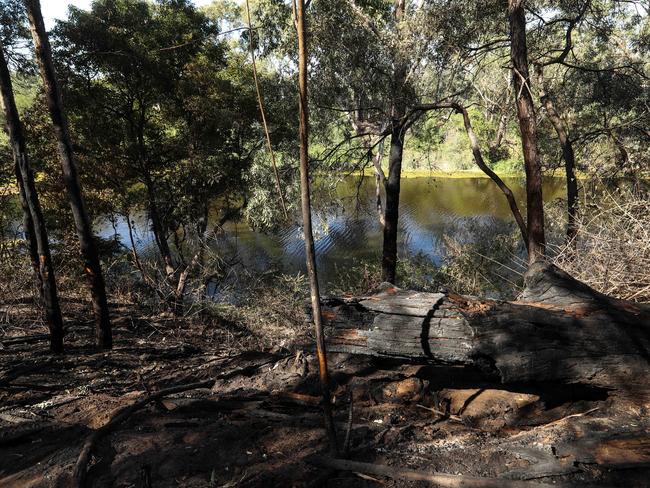 The spot next to the Georges River where it's believed the weekends bushfires were lit. Picture: Julian Andrews