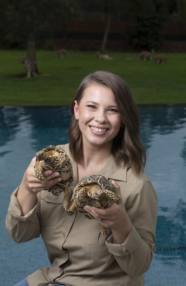 Bindi Irwin at Australia Zoo. Picture: Russell Shakespeare