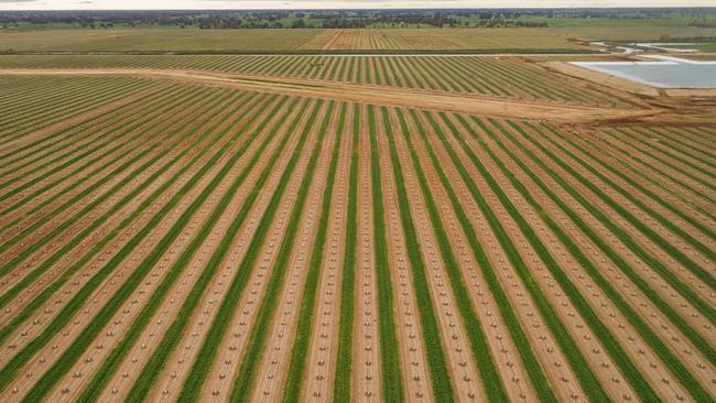 goFARM has listed its Sandmount Farms aggregation near Katunga in northern Victoria for more than $250 million. The sale includes about 50,000 megalitres of water.