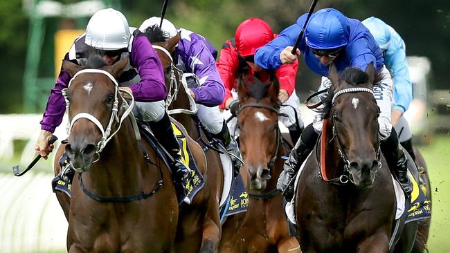 Sezanne, left, will be chasing back to back wins at canterbury on Wednesday. Picture: Gregg Porteous