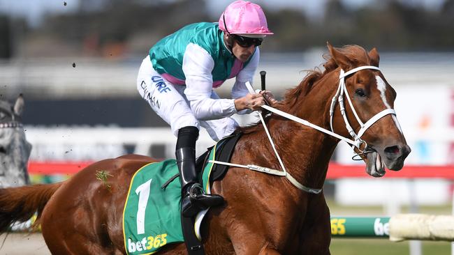 Finche worked home strongly for third in the Geelong and could be a knockout chance in the Melbourne Cup. Picture: AAP