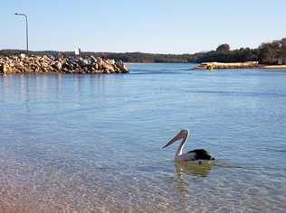 GOING CHEAP: You can snap up a property at Nambucca Heads for as little as $95,000. Picture: Gemima Harvey