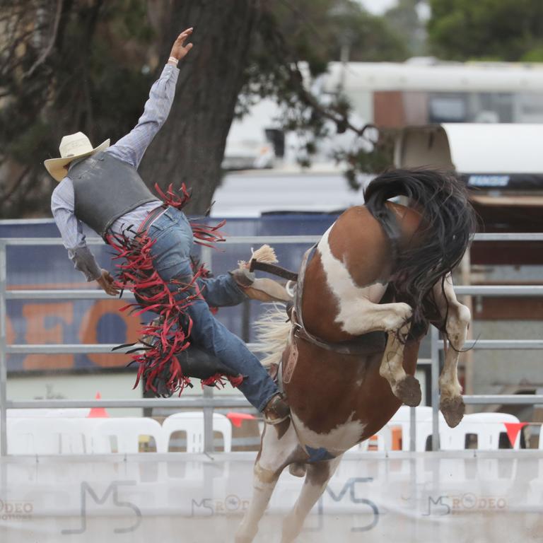 One plucky rider comes unstuck after a big buck from this stallion. Picture: Mark Wilson