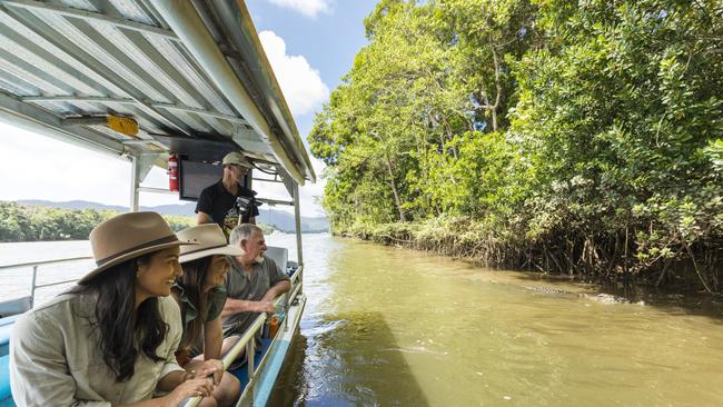 Guests watching an estuarine crocodile swimming beside their boat in the Daintree River - part of the FNQ Nature Tours Daintree Afternoon and Nocturnal Tour Photo - Tourism Australia