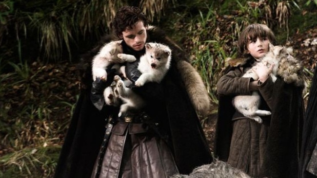 Game of Thrones ... Robb and Bran Stark adopt the new-found direwolf cubs. Picture: HBO