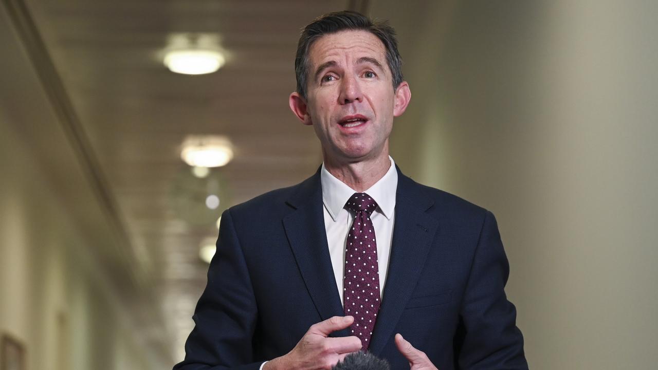 Coalition foreign affairs spokesman Simon Birmingham says passport fee hikes are a “tax grab”. Picture: NewsWire / Martin Ollman