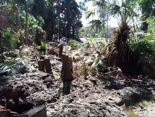 A screenshot of the video taken by John Illingsworth. It shows land cleared in Warriewood wetlands.