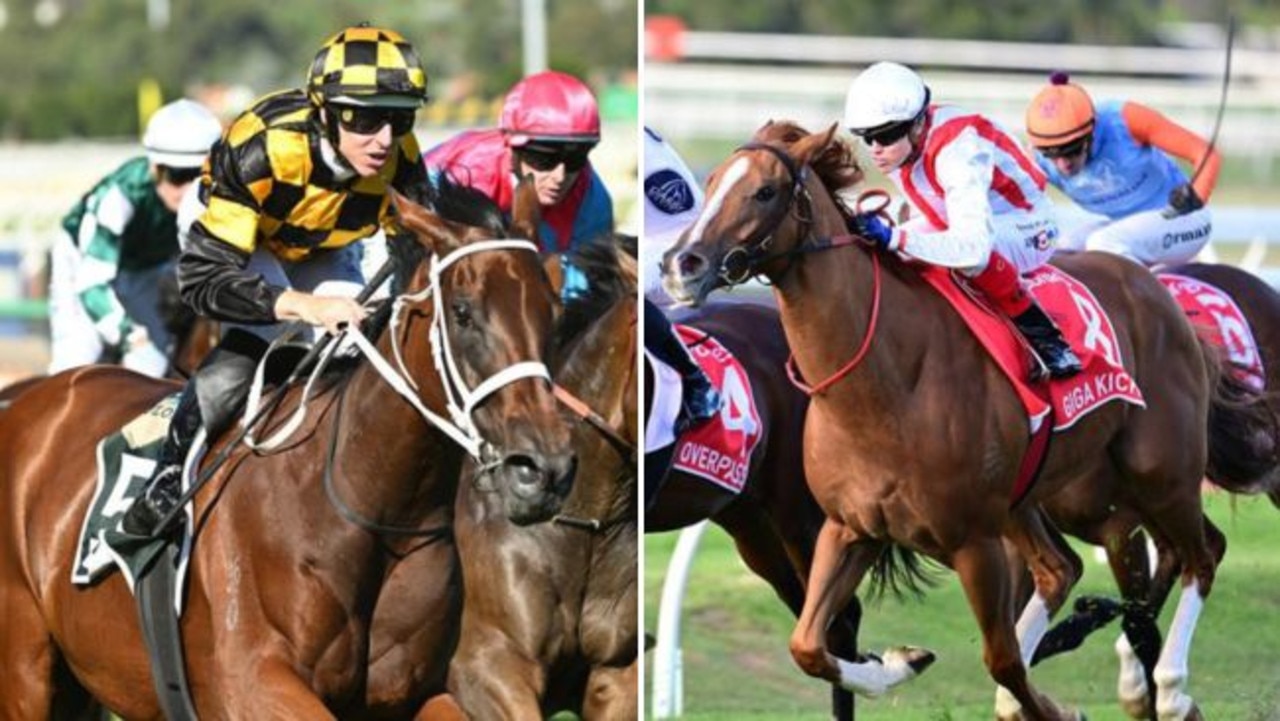 ‘How do they work that out?’: Trainer queries Joliestar ‘best horse’ tag