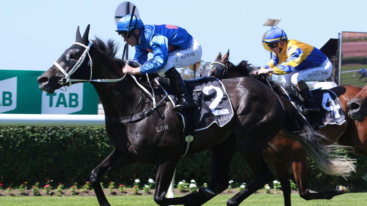 Criminal Code is a leading chance for Chris Waller at Randwick on Saturday. Photo: Grant Guy