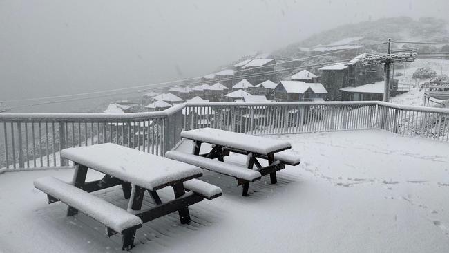 Mount Hotham received a fresh dump of snow on Wednesday night.