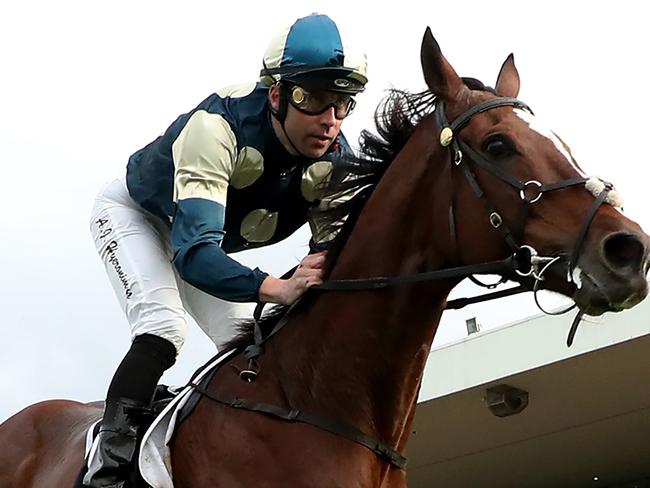 SYDNEY, AUSTRALIA - JUNE 15: Adam Hyeronimus riding Sir Lucan  wins Race 8 KIA Winter Cup during Winter Cup Day - Sydney Racing at Rosehill Gardens on June 15, 2024 in Sydney, Australia. (Photo by Jeremy Ng/Getty Images)