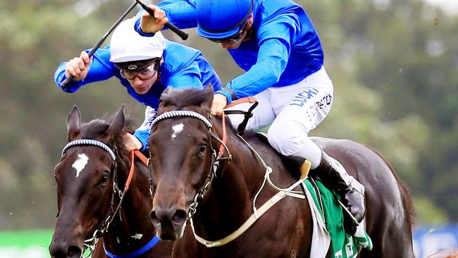 Morton's Fork is yet to miss a place in five starts and has strong claims to snare his third win on Wednesday at Rosehill. Picture: Mark Evans