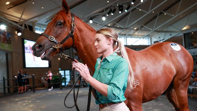 Samantha Bailey from Mane Lodge Thoroughbreds with a chestnut filly by Russian Revolution. Picture: Justin Lloyd