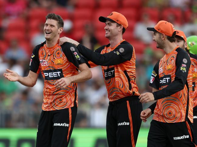 David Payne enjoys a wicket for the Scorchers last season. Picture: Matt King/Getty Images