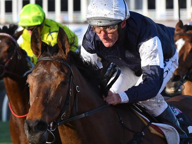 Damien Oliver eases down Almandin after a breathtaking performance. Pictures: Getty Images