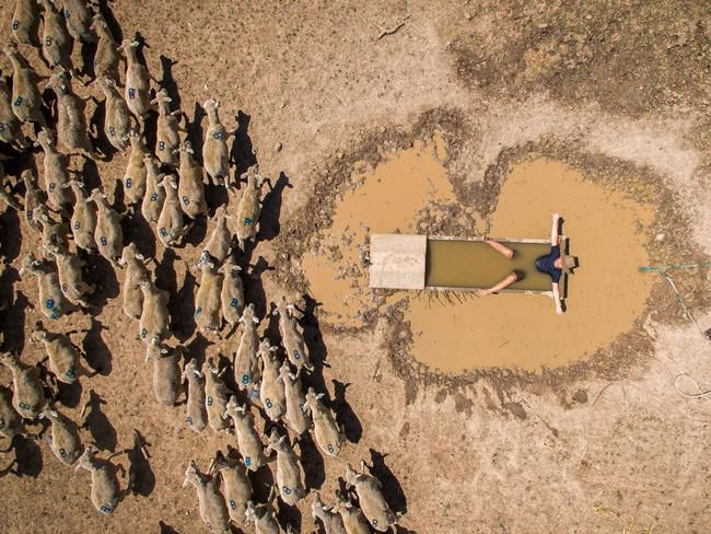 Hamish Baker aged 9yrs from Howlong, cooling down in the sheep trough. Picture: Simon Dallinger