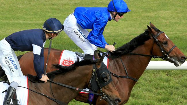 Pat Cosgrave and Best Solution (right) after winning the Caulfield Cup. Picture: Mark Stewart