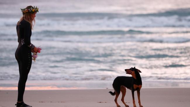 GOLD COAST, AUSTRALIA - JULY 11: Alex Pullin's girlfriend Ellidy Vlug and kelpie Rummi pay respects in memory of Alex 'Chumpy' Pullin on July 11, 2020 in Gold Coast, Australia. Australian Winter Olympic Games Snowboarder Alex 'Chumpy' Pullin died on Wednesday 8 July in a drowning accident while spearfishing at Palm Beach on the Gold Coast, aged 32. (Photo by Chris Hyde/Getty Images)
