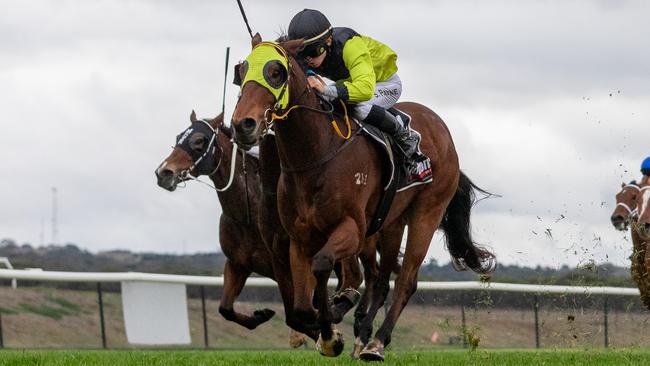 Surprise Coming wins at Murray Bridge in June. Picture: Makoto Kaneko