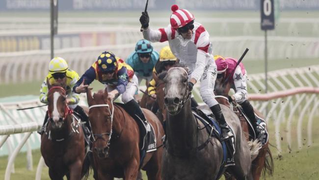 Classique Legend wins The Everest