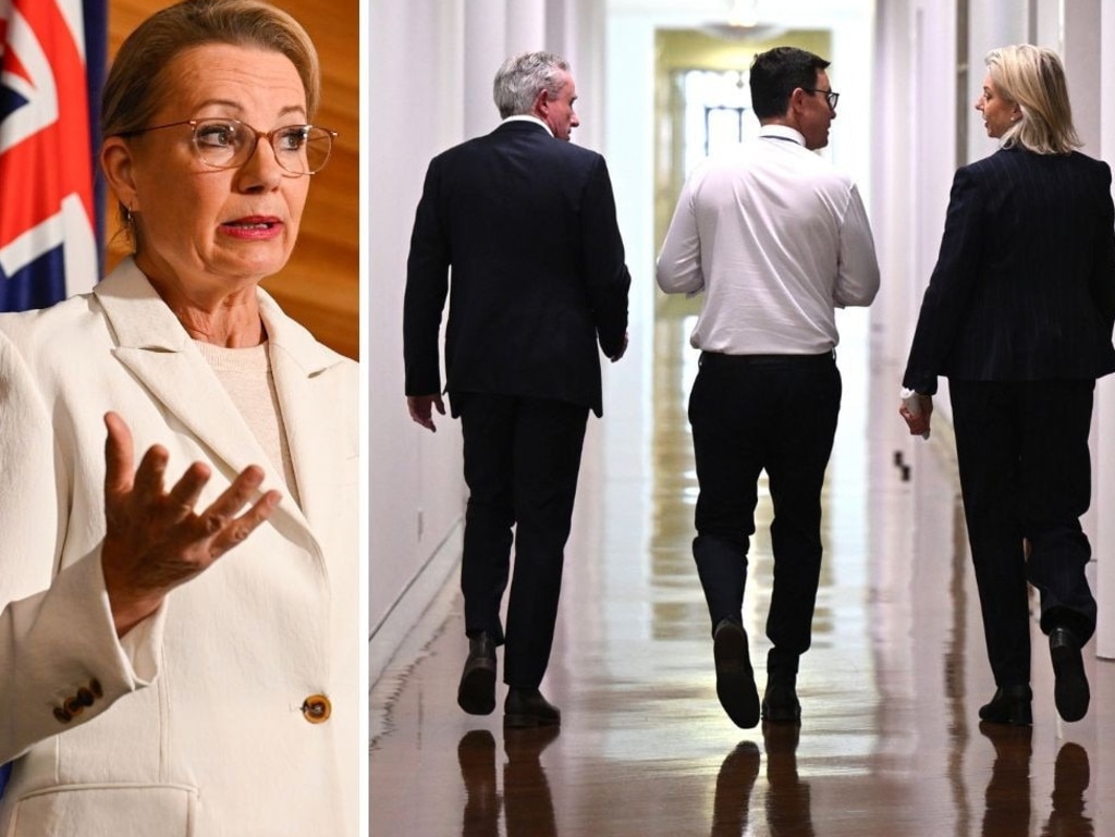 Coalition’s phoney war a mindless act of self-harm