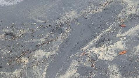 A Sunshine Coast ranger spotted a crocodile near a camping ground at Rainbow Beach, Inskip