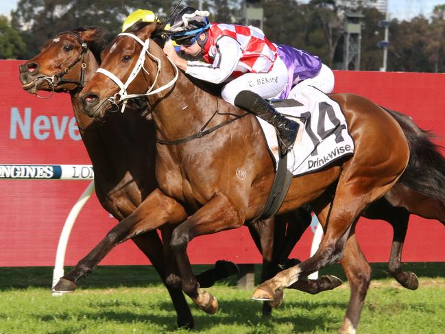 Waterford winning a Benchmark 78 at Rosehill on August 27. 2022. Picture: Grant Guy