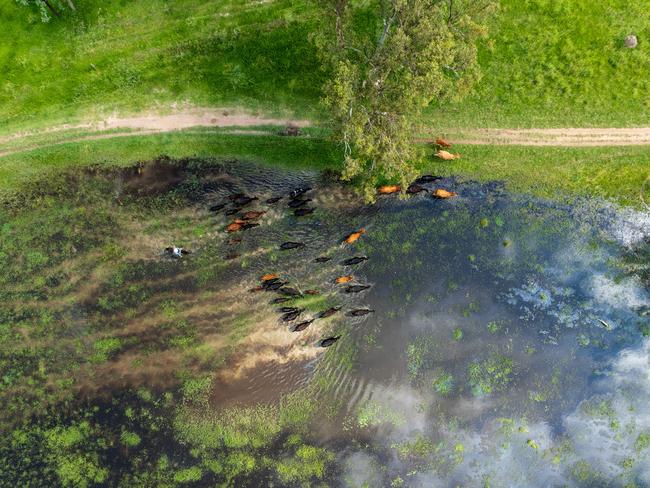 Water way to go … Australia at its best. Picture: Melissa Spencer.