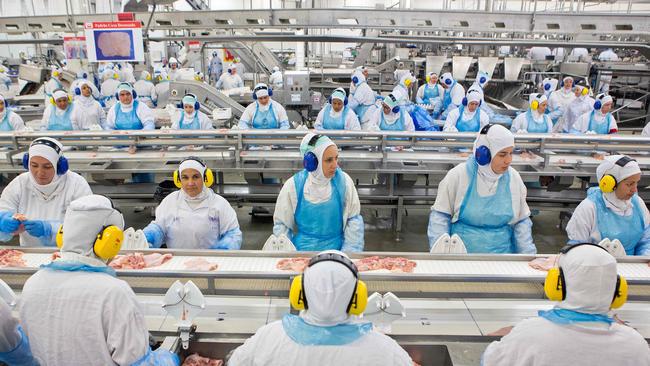 Workers in JBS Brazilian Friboi chicken processing plant.