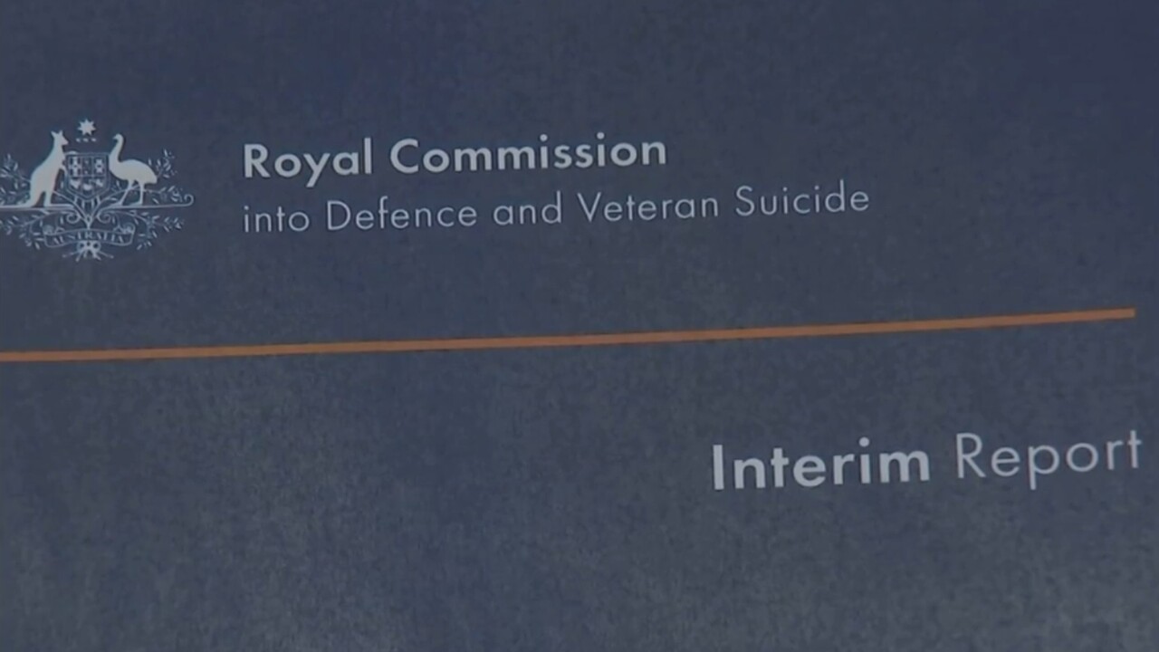 Veteran interim report an 'important milestone' and 'a good first step'