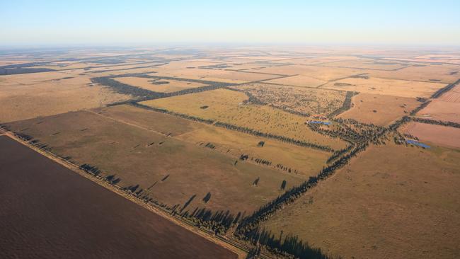 Packhorse Pastoral Company have sold their $120 million cattle and carbon portfolio. Picture: Supplied