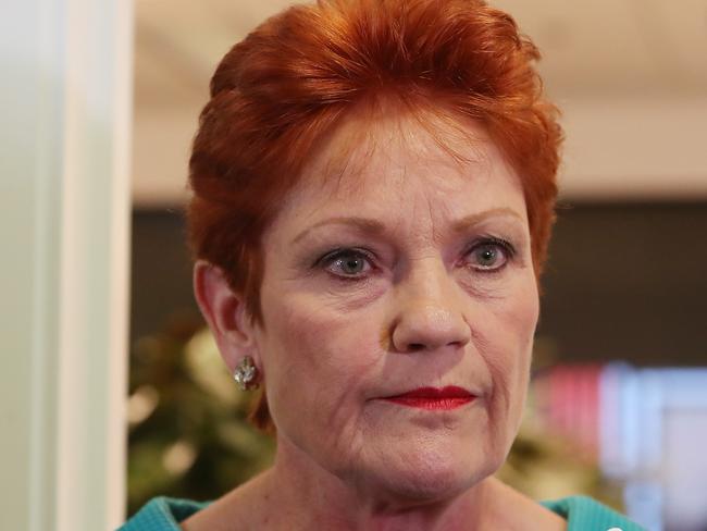 Senator Pauline Hanson at Parliament House in Canberra. Picture Kym Smith