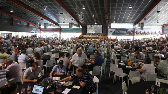 The Magic Millions sales has become a spectator sport. Photo: Scott Fletcher