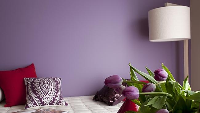 FEATURE walls in purples or orange are also out.