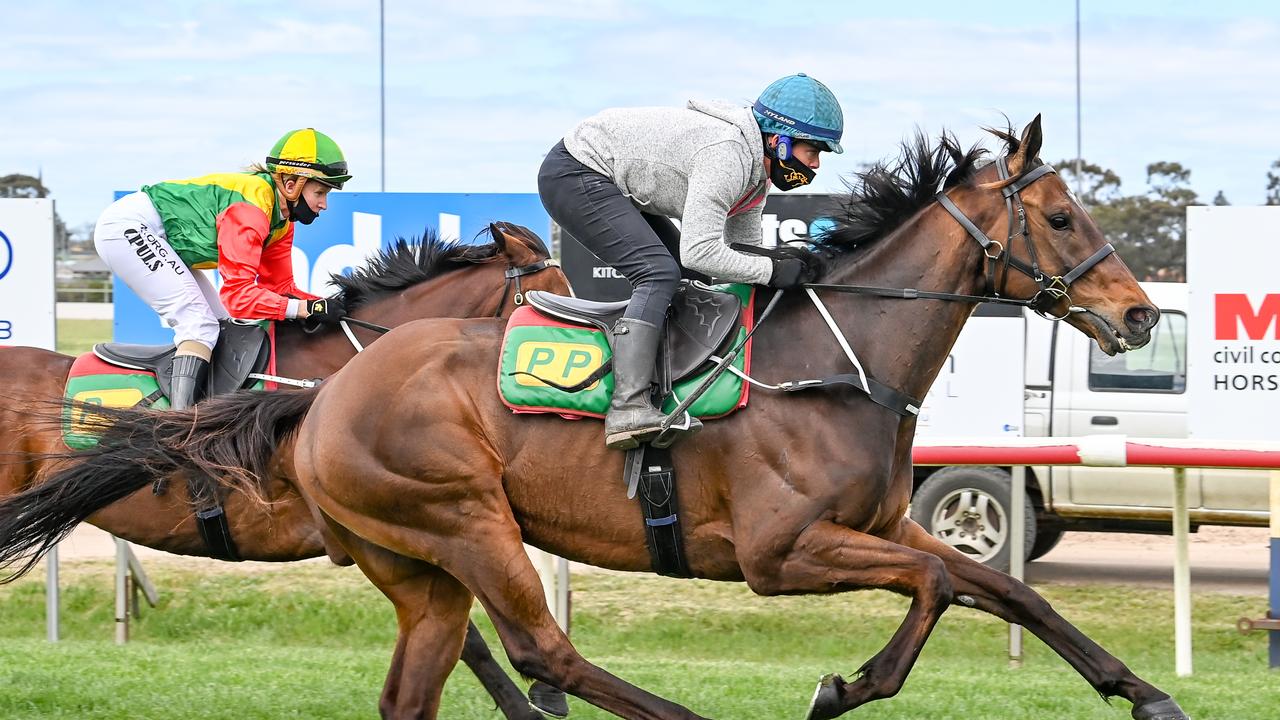 Surprise Baby ridden by Holly McKechnie gallops after the running of the Victoria Hotel On The Park BM64 Hcp at Horsham Racecourse on October 18, 2020 in Horsham, Australia. (Alice Miles/Racing Photos via Getty Images)