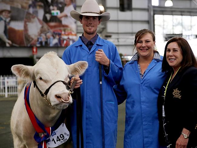 Royal Melbourne Show cattle judging | The Weekly Times