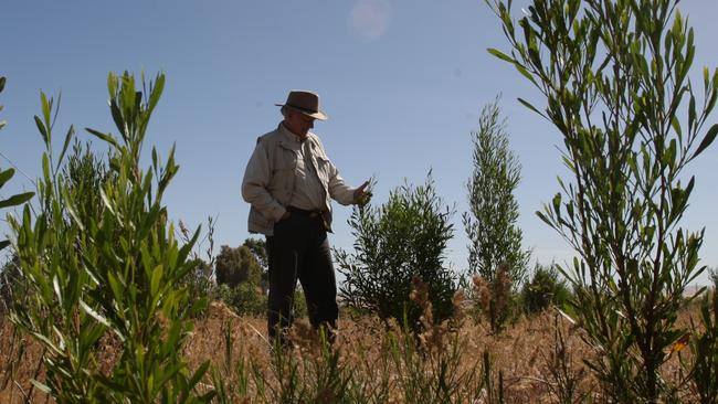 Carbon farming projects use a range of methods to increase the amount of carbon sequestered across landholdings.