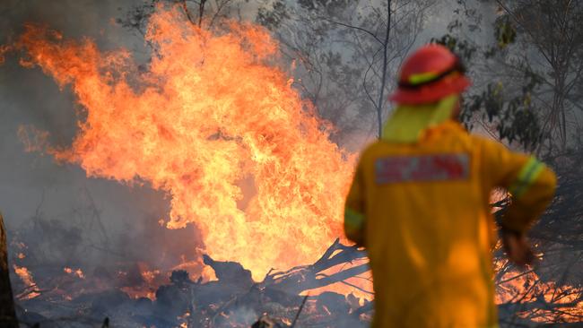 A firefighter defends a property in Torrington, near Glen Innes. Picture: AAP