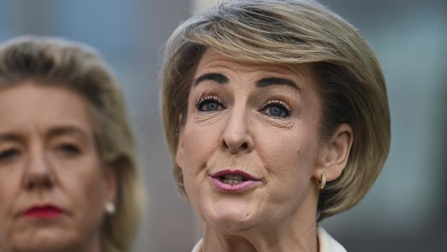 Michaelia Cash confirmed she voted No. Picture: NCA NewsWire / Martin Ollman.