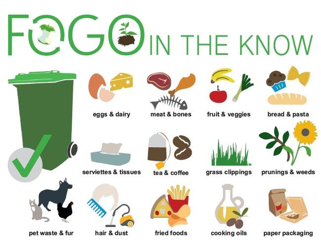 Wondering what can go in a green bin? This chart explains all.