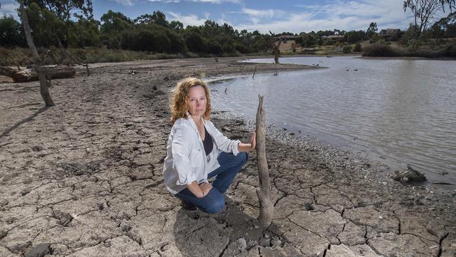 Sally Ryan is among residents who have expressed concerns over state of Spavin Lake. Picture: Rob Leeson