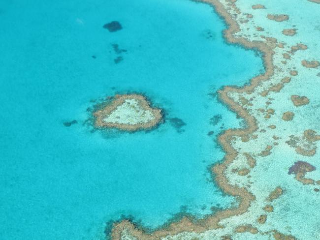 Totally loving Heart Reef. Picture: Kate Schneider