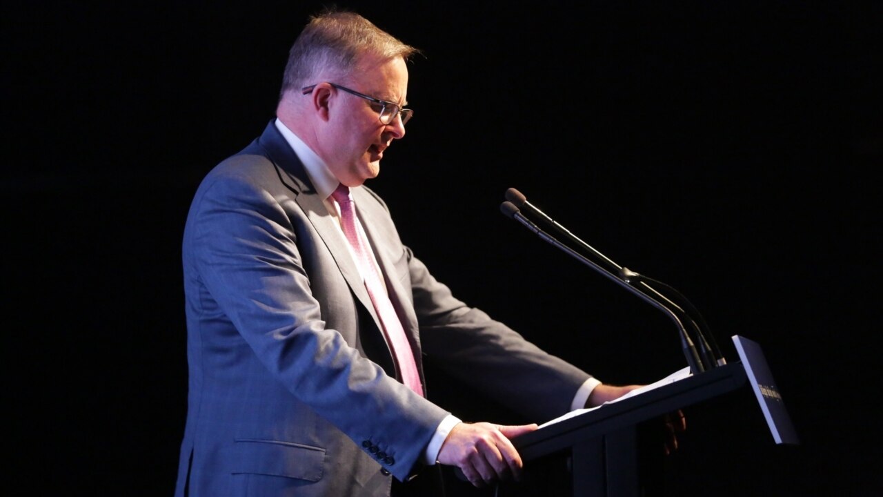 Albanese defies Labor's anti-business stance