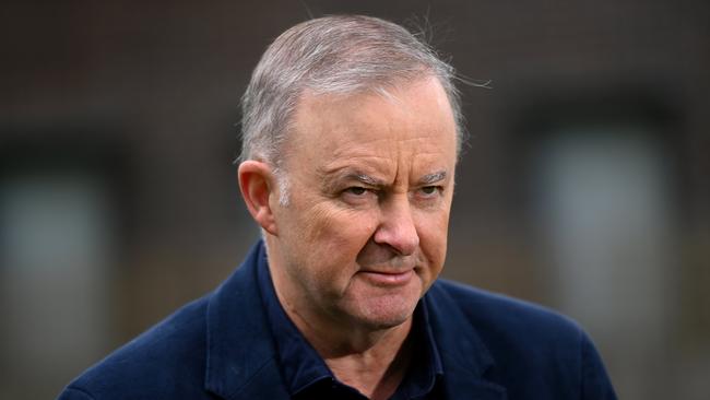 Leader of the Opposition Anthony Albanese speaks to the media during a doorstop in Sydney. Picture: NCA NewsWire/Bianca De Marchi