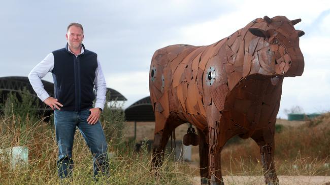 Scott with the life-size sculpture of Junior the bull.