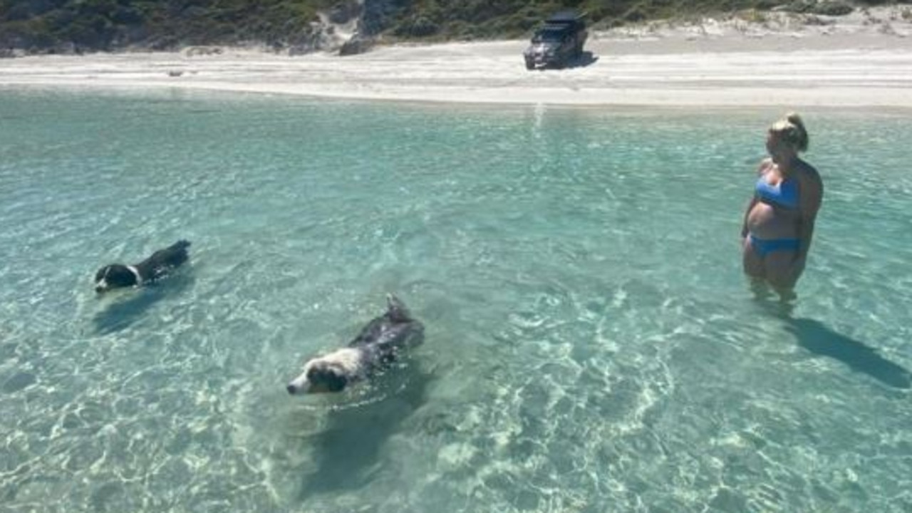 Last photo of Mushu and Tilly with pregnant Georgia Crook before beach tragedy. Picture: 7 News