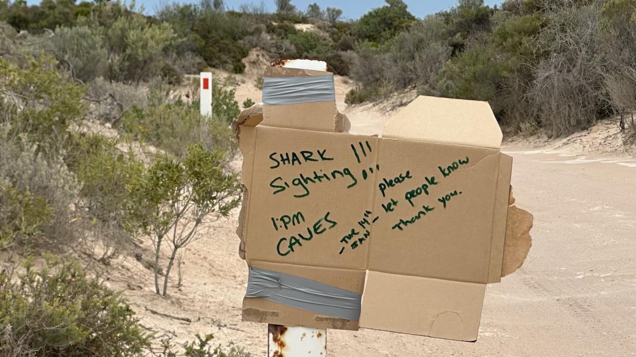 A makeshift warning for surfer and swimmers at the entrance of Cactus Beach on the state; s West Coast.