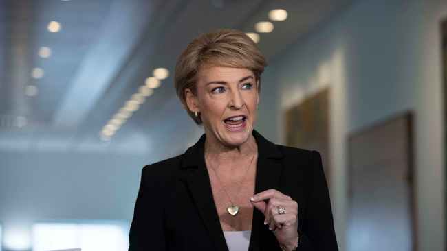 Mr Dutton also revealed Michaelia Cash will be the shadow attorney-general. Picture: NCA NewsWire / Gary Ramage