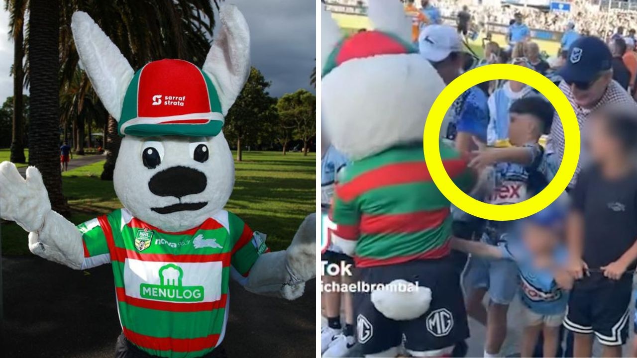 Rabbitohs mascot backflips as incident twists