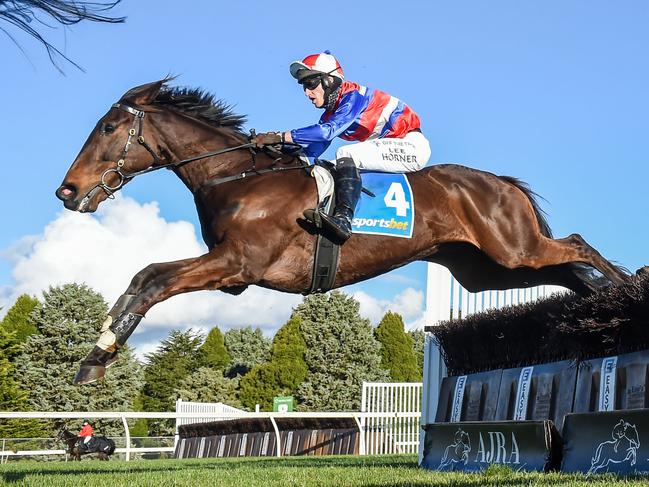 Inayforhay ridden by Lee Horner jumps during the Ecycle Solutions Grand National Steeplechase at Sportsbet-Ballarat Racecourse on August 29, 2021 in Ballarat, Australia. (Brett Holburt/Racing Photos via Getty Images)